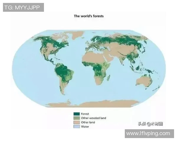 俄罗斯与美国近期战绩对比分析及其影响因素探讨